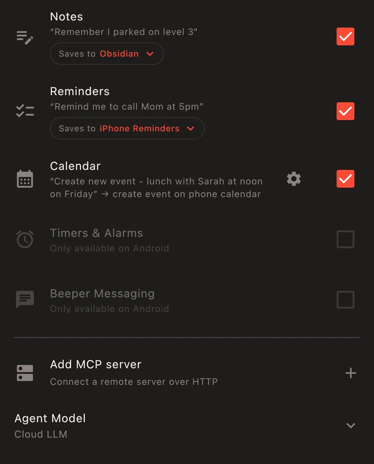 Pebbleアプリの設定画面。WebhookやMCPServer連携も可能。